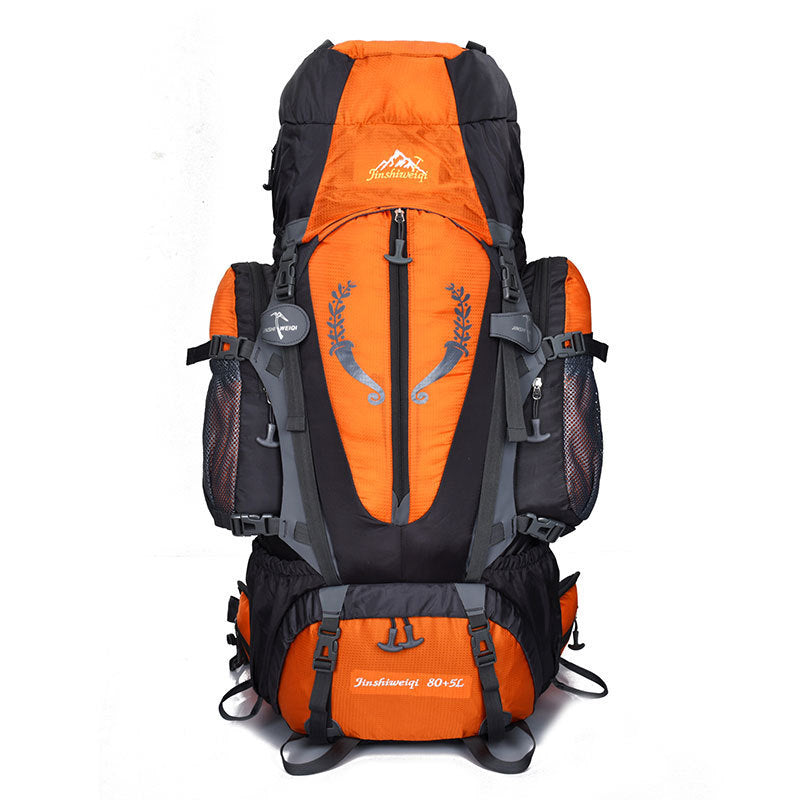 Professional mountaineering outdoor Backpack