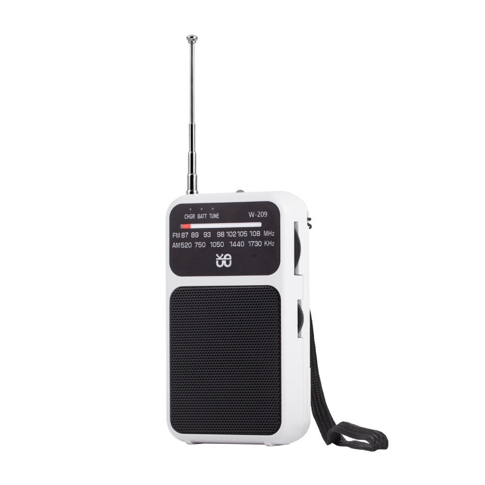 Radio Dual Power Supply With Flashlight