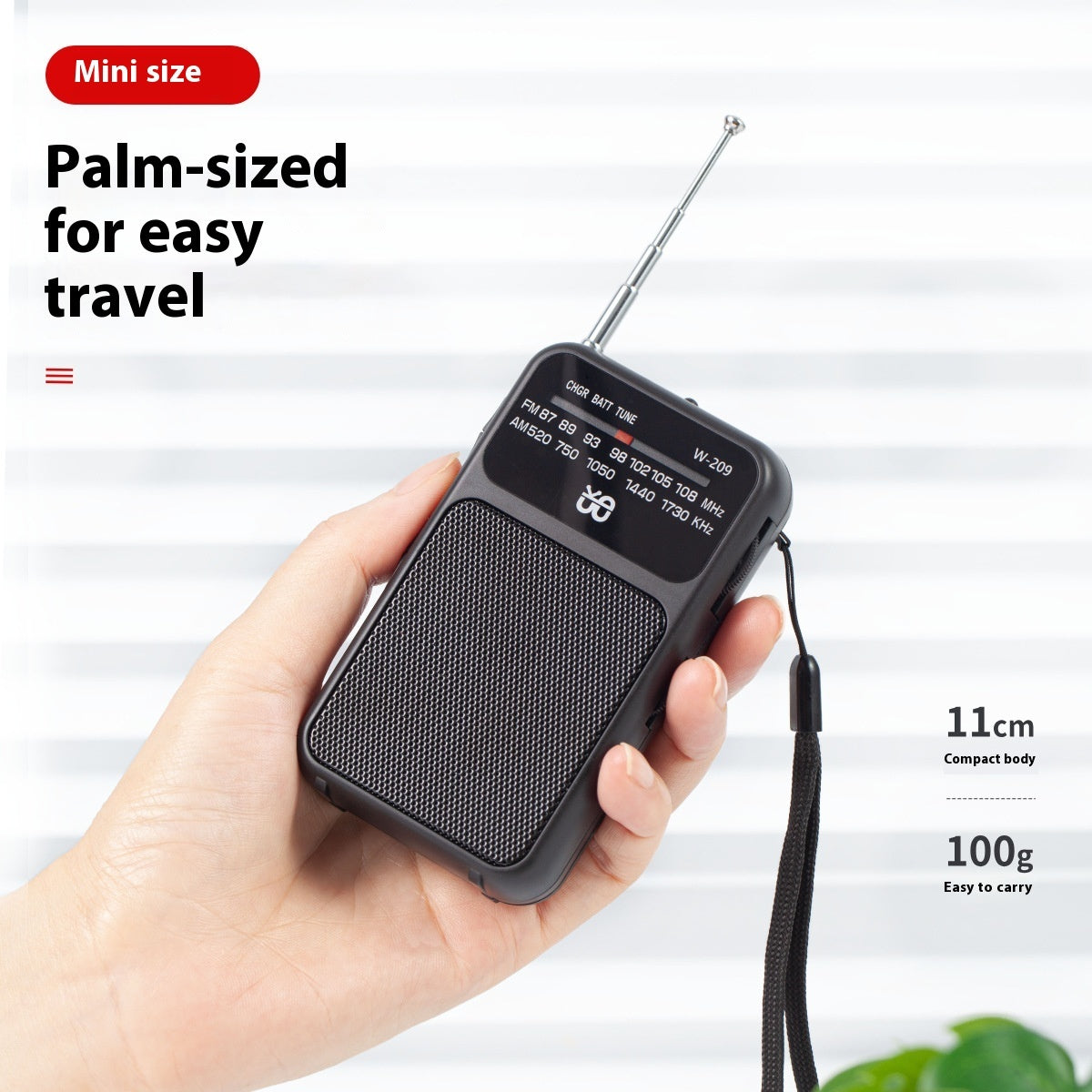 Radio Dual Power Supply With Flashlight