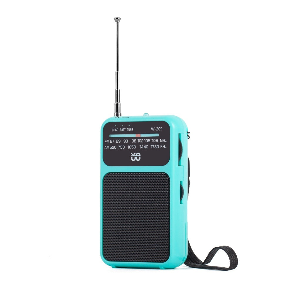 Radio Dual Power Supply With Flashlight