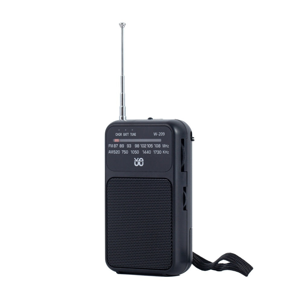 Radio Dual Power Supply With Flashlight